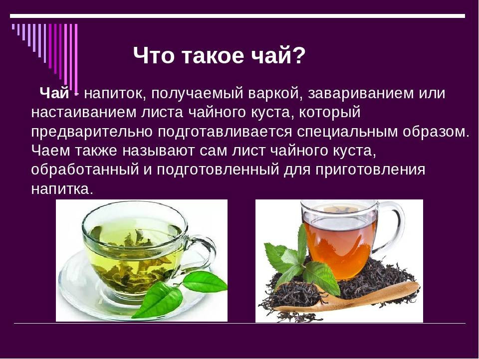 Вред зеленого чая для мужчин. Чай полезный напиток. Проект чай полезный напиток. Чай для презентации. Проект на тему чай.