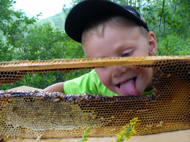 Пчелиная смерть для детей