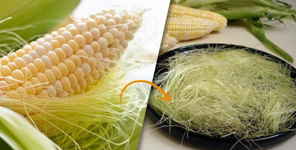 Рецепты лечебных свойств кукурузных рылец