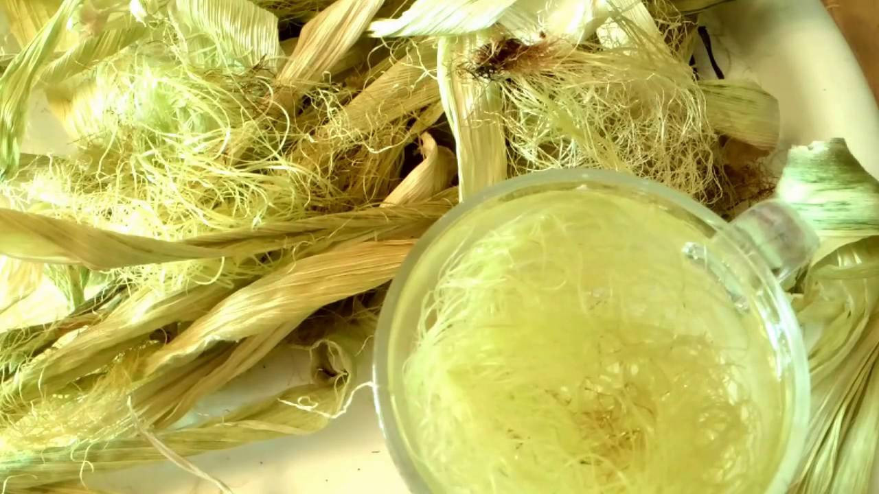 Кукурузные рыльца, лечебные свойства и применение, чайные методы лечения болезней