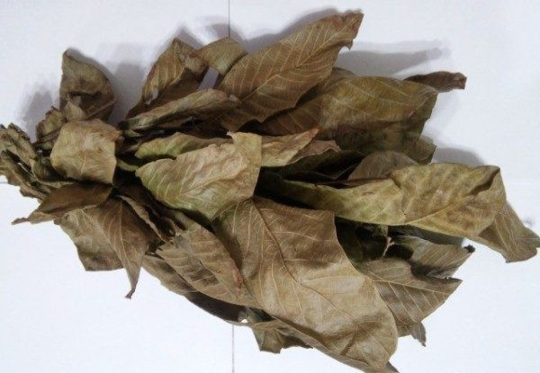 Сушеные листья грецкого ореха